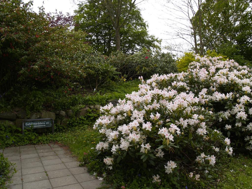 Juhl'S Bed & Breakfast Kolding Rum bild
