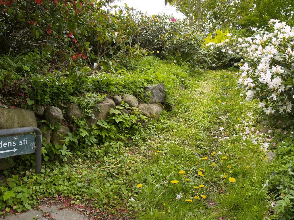 Juhl'S Bed & Breakfast Kolding Rum bild