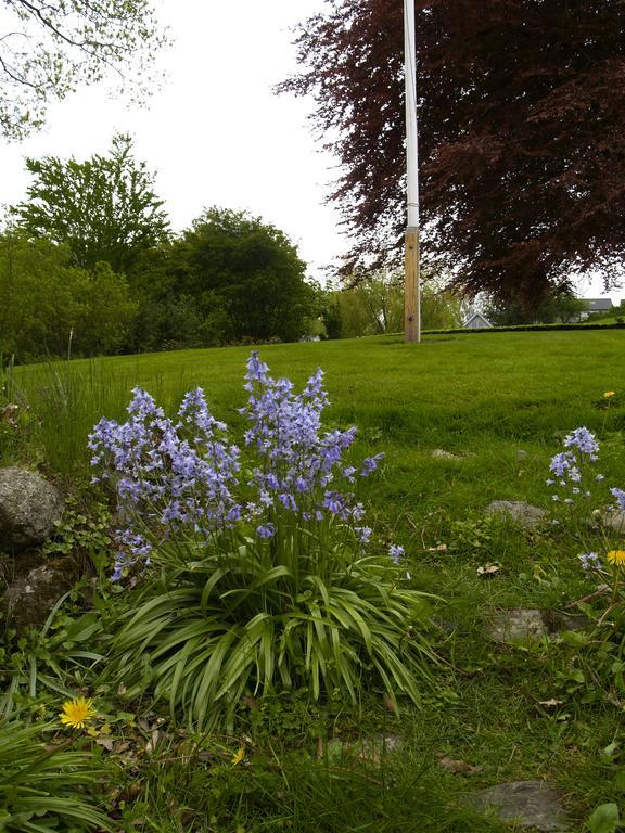Juhl'S Bed & Breakfast Kolding Rum bild