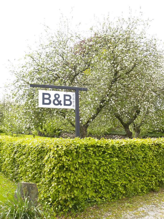 Juhl'S Bed & Breakfast Kolding Rum bild